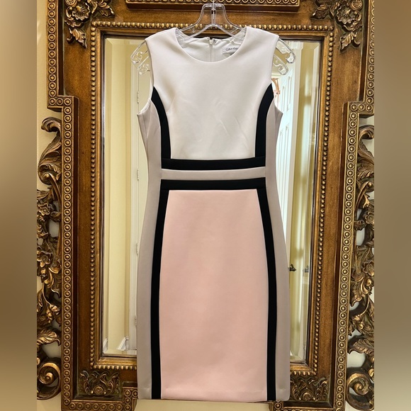 Calvin Klein Color block sheath dress Pink White Beige Size 4 - Picture 4 of 5